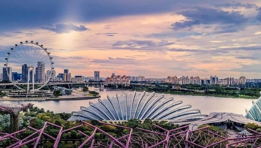 澳门六网站资料查询,近五年爆过雷的卫生巾品牌,最佳精选解释落实_手机版V13.98