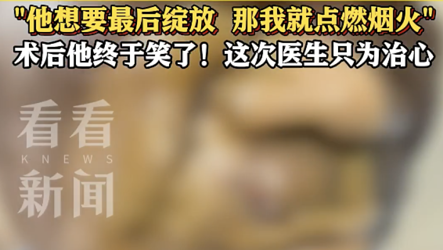 白小姐一肖一码必中一肖歇后语,邓紫棋小说冲刺阶段,准确资料解释落实_工具版V11.33
